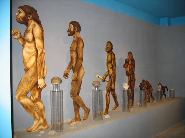 Museo di Preistoria e Geopaleontologia